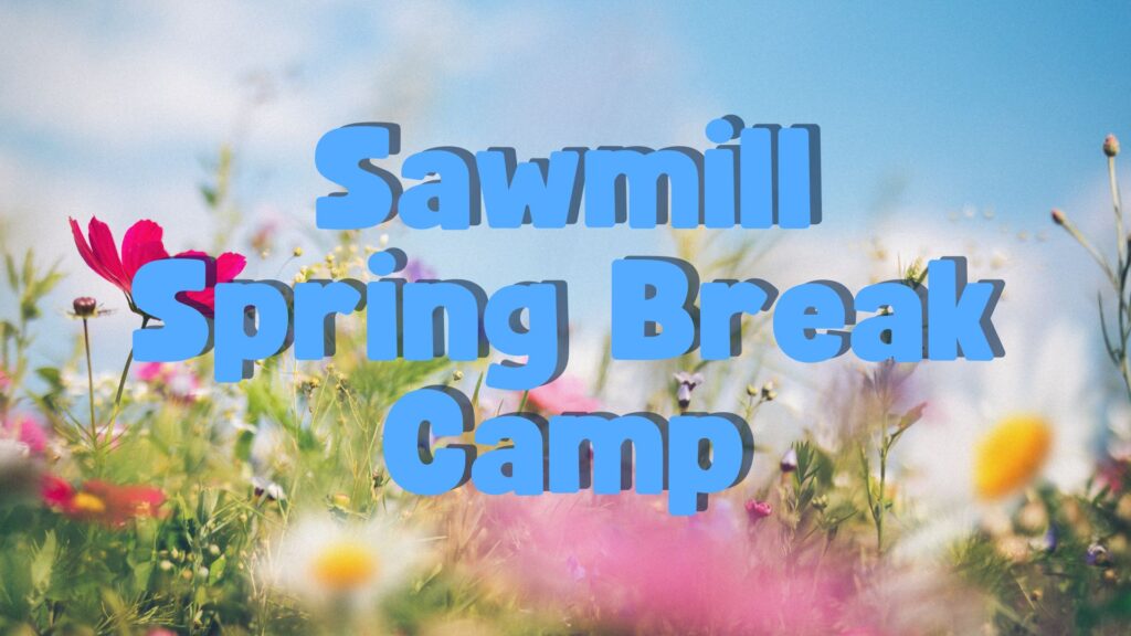 Sawmill Spring Break Camp is convenient for parents and super fun for kids